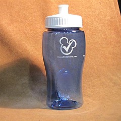 Disney_water_bottle