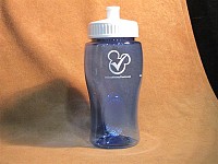 Disney_water_bottle
